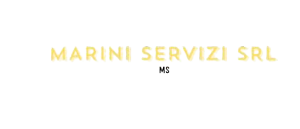 Marini Servizi Srl1